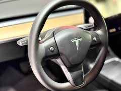 Tesla Model 3 Facelift Standard Range RWD Upgrade 3D1 - ფოტო 10