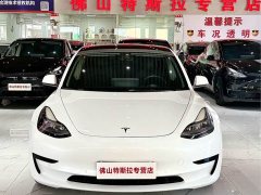 Tesla Model 3 Facelift Standard Range RWD Upgrade 3D1 - ფოტო 5