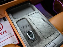 Great Wall WEY Shanshan New Energy Four-Wheel Drive Shanshan 8 - ფოტო 20