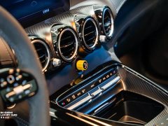 Mercedes-Benz AMG GT 2019 AMG GT R PRO - ფოტო 13