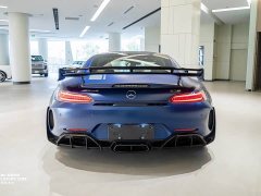 Mercedes-Benz AMG GT 2019 AMG GT R PRO - ფოტო 20