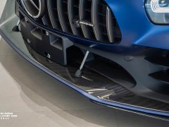 Mercedes-Benz AMG GT 2019 AMG GT R PRO - ფოტო 6