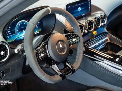 Mercedes-Benz AMG GT 2019 AMG GT R PRO - ფოტო 9