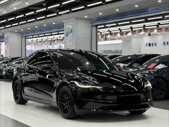Tesla Model 3 Rear-Wheel Drive - ფოტო 3