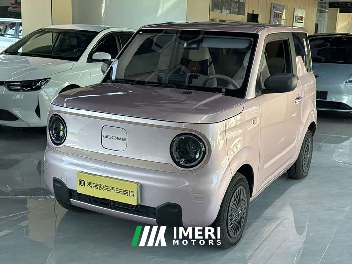 Geely Panda 2024 Panda Mini 200km Endurance Edition - ავტომობილი ჩინეთიდან