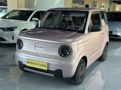 Geely Panda 2024 Panda Mini 200km Endurance Edition - ფოტო 1