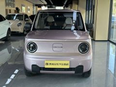 Geely Panda 2024 Panda Mini 200km Endurance Edition - ფოტო 2