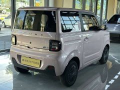 Geely Panda 2024 Panda Mini 200km Endurance Edition - ფოტო 4