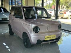 Geely Panda 2024 Panda Mini 200km Endurance Edition - ფოტო 6