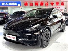 Tesla Model Y Long Range All-Wheel Drive - ფოტო 1