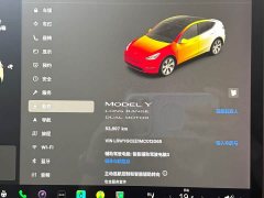 Tesla Model Y Long Range All-Wheel Drive - ფოტო 15