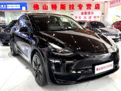 Tesla Model Y Long Range All-Wheel Drive - ფოტო 2