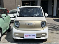 FAW Besturn Xiaoma 222km Cute Horse - ფოტო 2