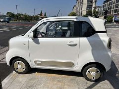 FAW Besturn Xiaoma 222km Cute Horse - ფოტო 3