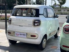 FAW Besturn Xiaoma 222km Cute Horse - ფოტო 4