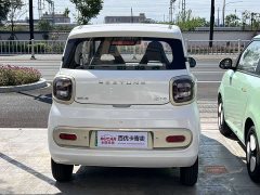 FAW Besturn Xiaoma 222km Cute Horse - ფოტო 5