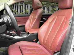 BMW 3 Series 320Li M Sport Package - ფოტო 5