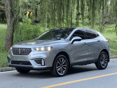 Great Wall WEY VV5 1.5T Two-Wheel Drive Smart Pioneer - ფოტო 1