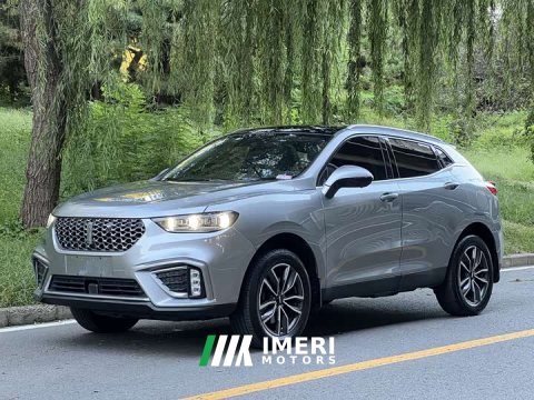 2021 Great Wall WEY VV5 1.5T Two-Wheel Drive Smart Pioneer - ავტომობილი ჩინეთიდან