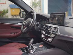 BMW 5 Series Facelift 530Li Premier M Sport Package - ფოტო 6