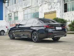BMW 5 Series Facelift 530Li Premier M Sport Package - ფოტო 8