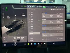 Tesla Model Y Rear-Wheel Drive - ფოტო 6