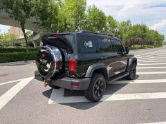 Tank 300 2021 Off-Road Edition 2.0T Conqueror - ფოტო 7