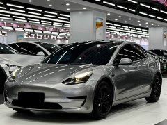 Tesla Model 3 Standard Range RWD Upgrade 3D6 - ფოტო 1