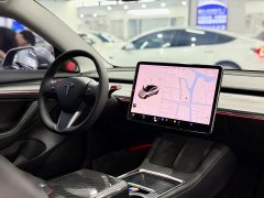 Tesla Model 3 Standard Range RWD Upgrade 3D6 - ფოტო 11