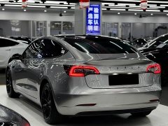 Tesla Model 3 Standard Range RWD Upgrade 3D6 - ფოტო 4