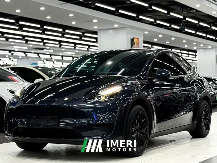 Tesla Model Y Rear-Wheel Drive