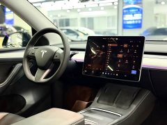 Tesla Model Y Rear-Wheel Drive - ფოტო 12