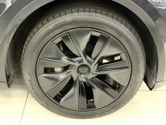 Tesla Model Y Rear-Wheel Drive - ფოტო 19