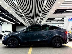 Tesla Model Y Rear-Wheel Drive - ფოტო 7