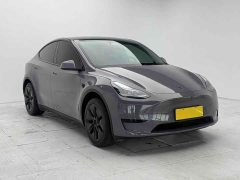 Tesla Model Y Rear-Wheel Drive - ფოტო 2