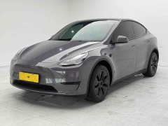 Tesla Model Y Rear-Wheel Drive - ფოტო 6