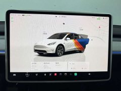 Tesla Model Y 2024 Rear-Wheel Drive - ფოტო 11