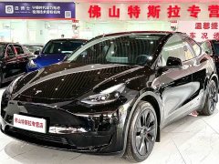 Tesla Model Y Rear-Wheel Drive - ფოტო 1