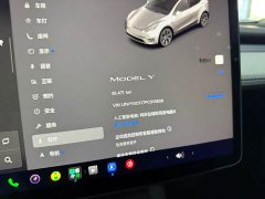 Tesla Model Y Rear-Wheel Drive - ფოტო 18
