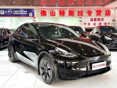 Tesla Model Y Rear-Wheel Drive - ფოტო 2