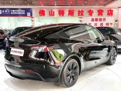 Tesla Model Y Rear-Wheel Drive - ფოტო 4
