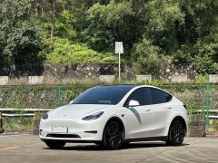 Tesla Model Y Rear-Wheel Drive - ფოტო 1