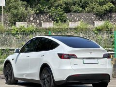 Tesla Model Y Rear-Wheel Drive - ფოტო 12