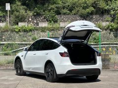 Tesla Model Y Rear-Wheel Drive - ფოტო 15