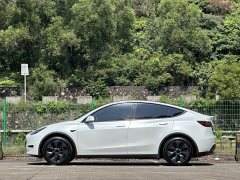 Tesla Model Y Rear-Wheel Drive - ფოტო 16
