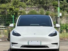 Tesla Model Y Rear-Wheel Drive - ფოტო 2