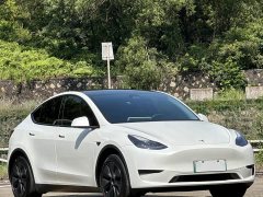 Tesla Model Y Rear-Wheel Drive - ფოტო 3