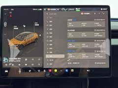 Tesla Model 3 2023 Rear-Wheel Drive - ფოტო 10