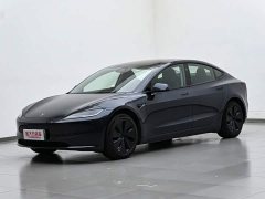 Tesla Model 3 2023 Rear-Wheel Drive - ფოტო 2