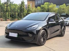 Tesla Model Y 2023 Rear-Wheel Drive - ფოტო 1